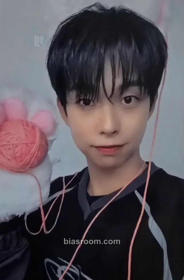 LUCY - Sangyeop - Sunflower Album dear my muse (dmm)