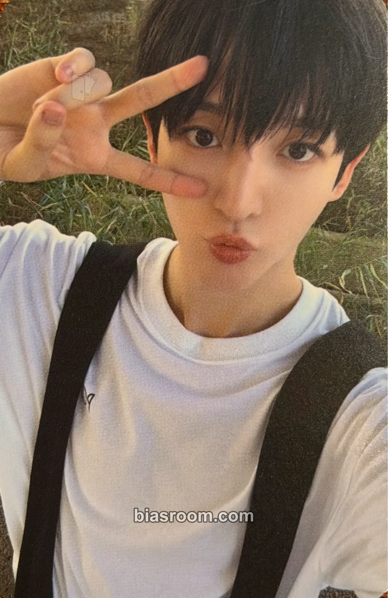 Donghyeon My First Flip Photocard - KickFlip - KickFlip K-pop photocard