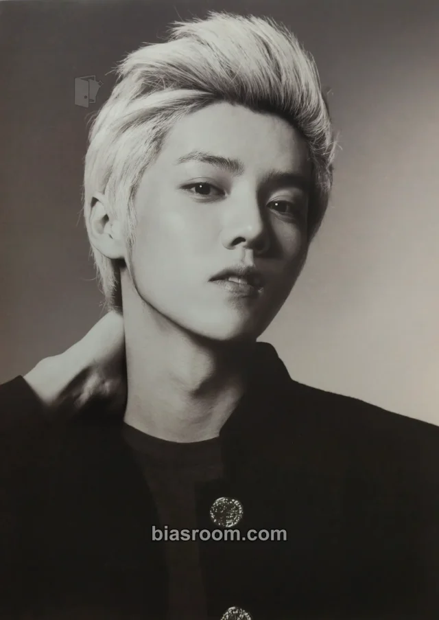 EXO - Luhan - SMTOWN WEEK - Christmas Wonderland Event photo print photo set
