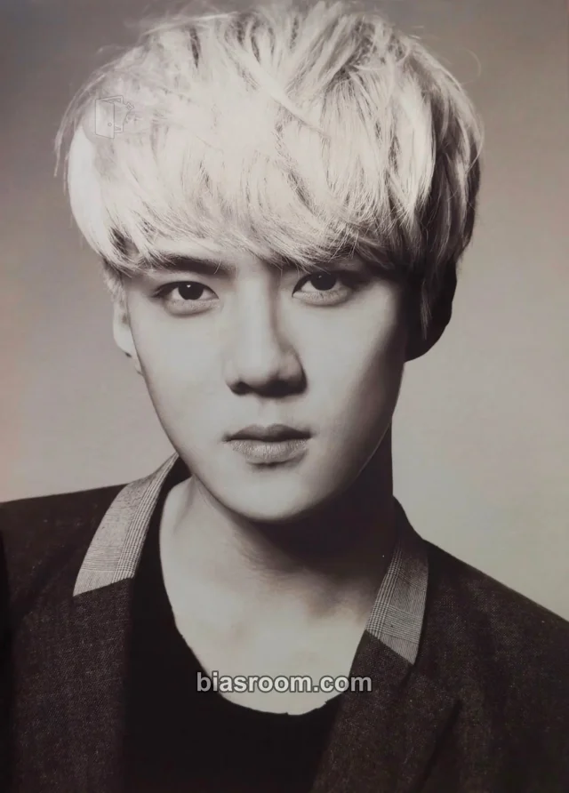EXO - Sehun - SMTOWN WEEK - Christmas Wonderland Event photo print photo set