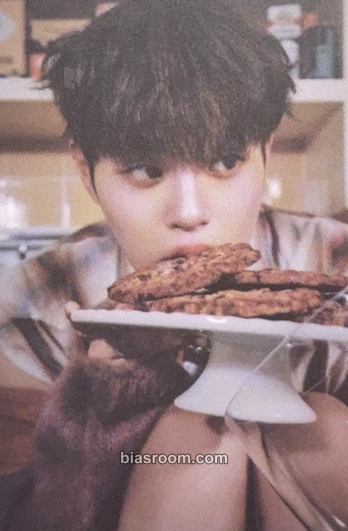 Daehwi TAKE A CHANCE Photocard - AB6IX - AB6IX K-pop photocard