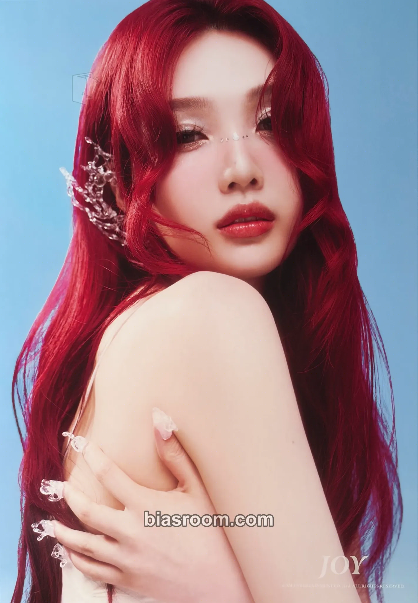 Joy 2025 Season's Greeting Photocard - Red Velvet - Red Velvet K-pop photocard