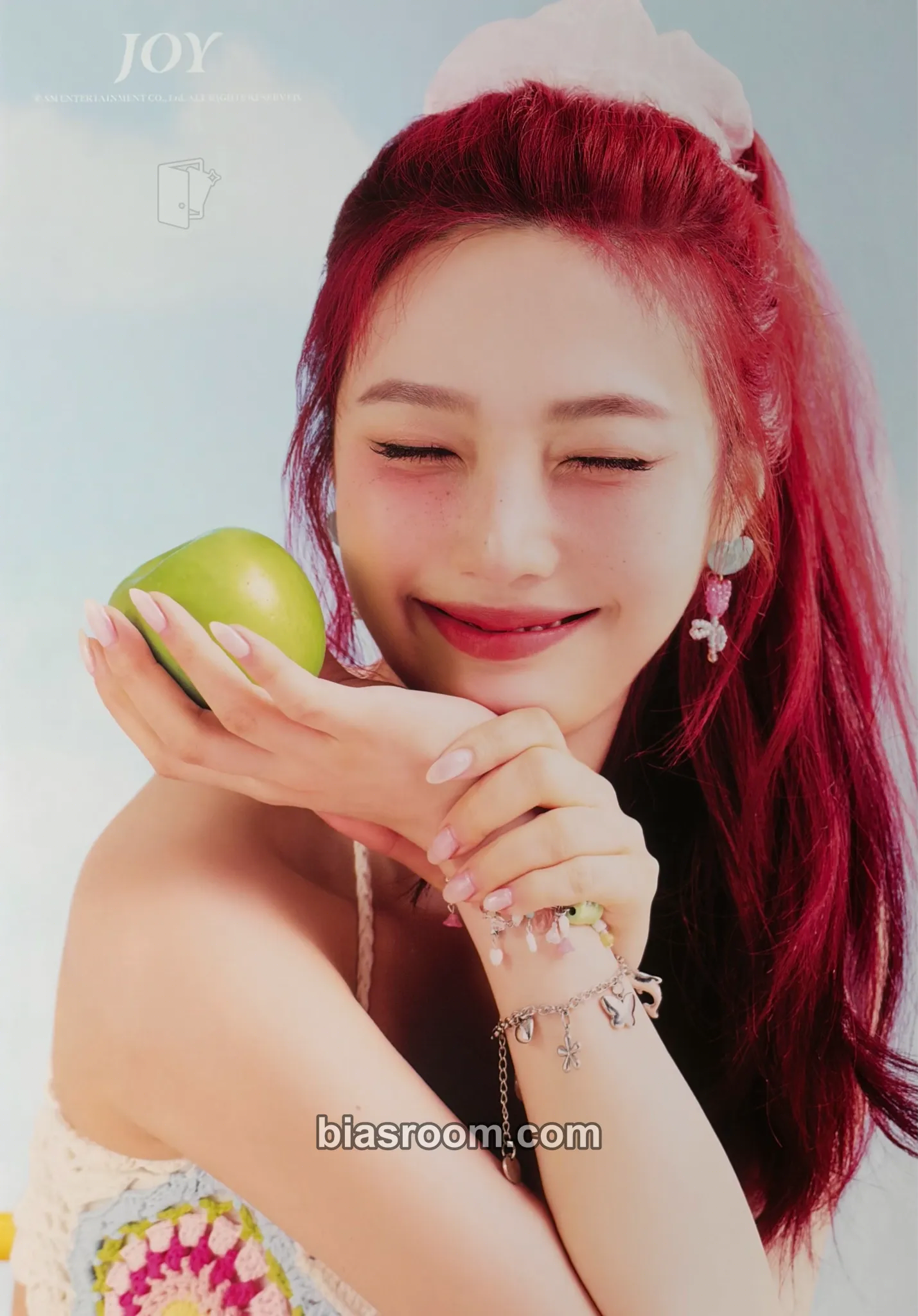 Joy 2025 Season's Greeting Photocard - Red Velvet - Red Velvet K-pop photocard