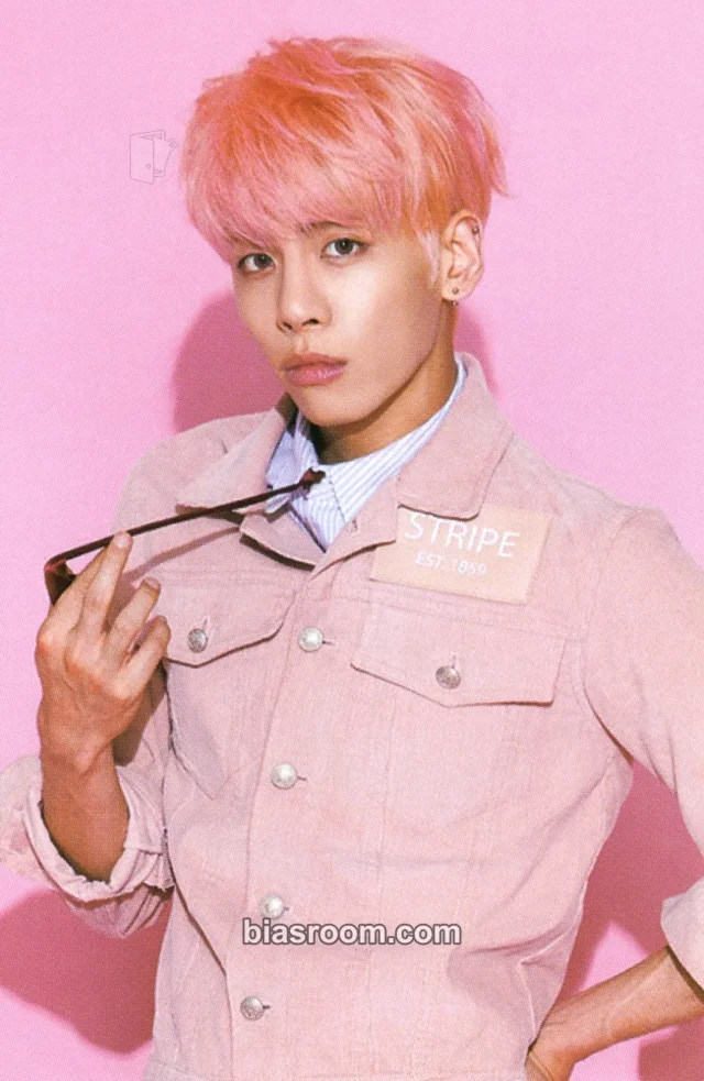 SHINee - Jonghyun - She Is Album merch inclusion sticker sticker set
