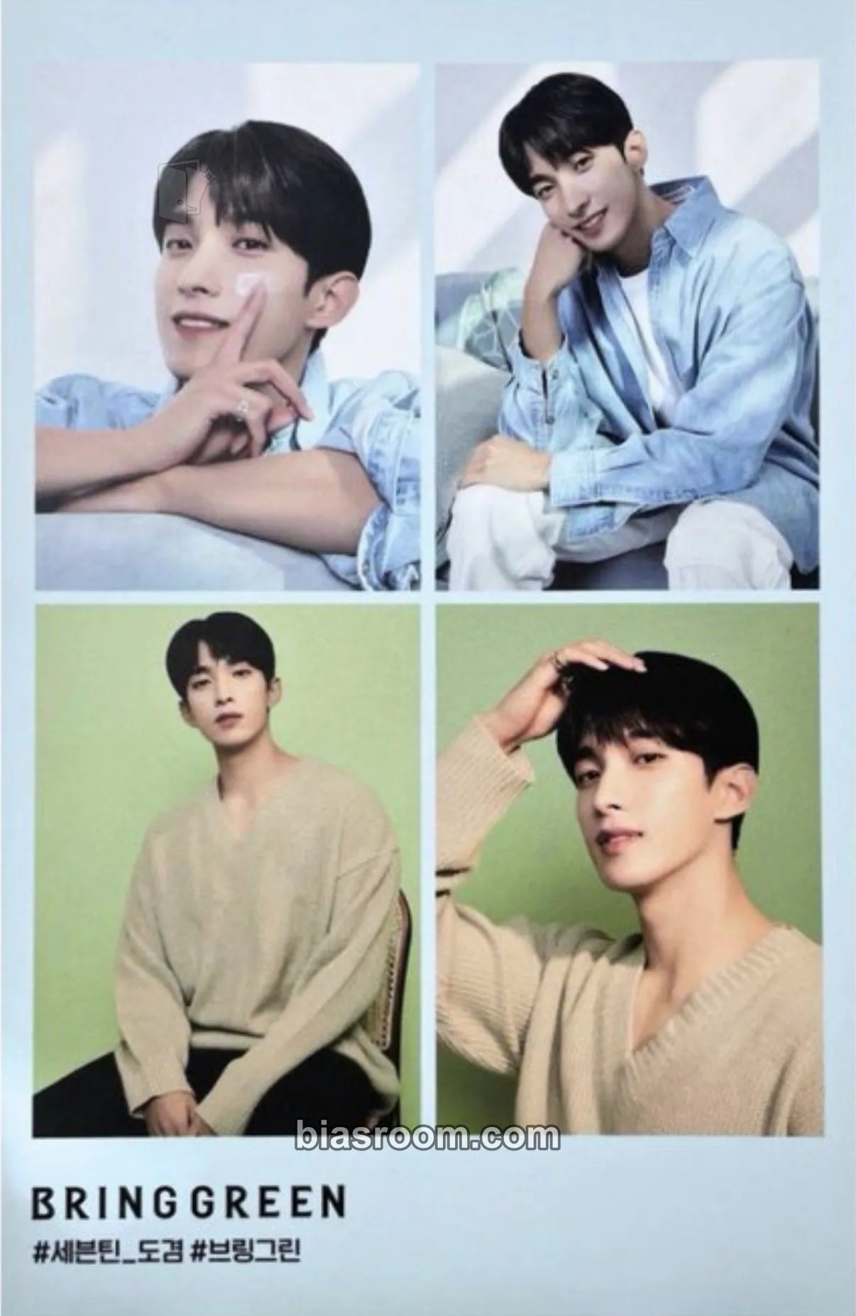 DK BRINGGREEN x BSS Brand Collaboration Photocard - SEVENTEEN - SEVENTEEN K-pop photocard