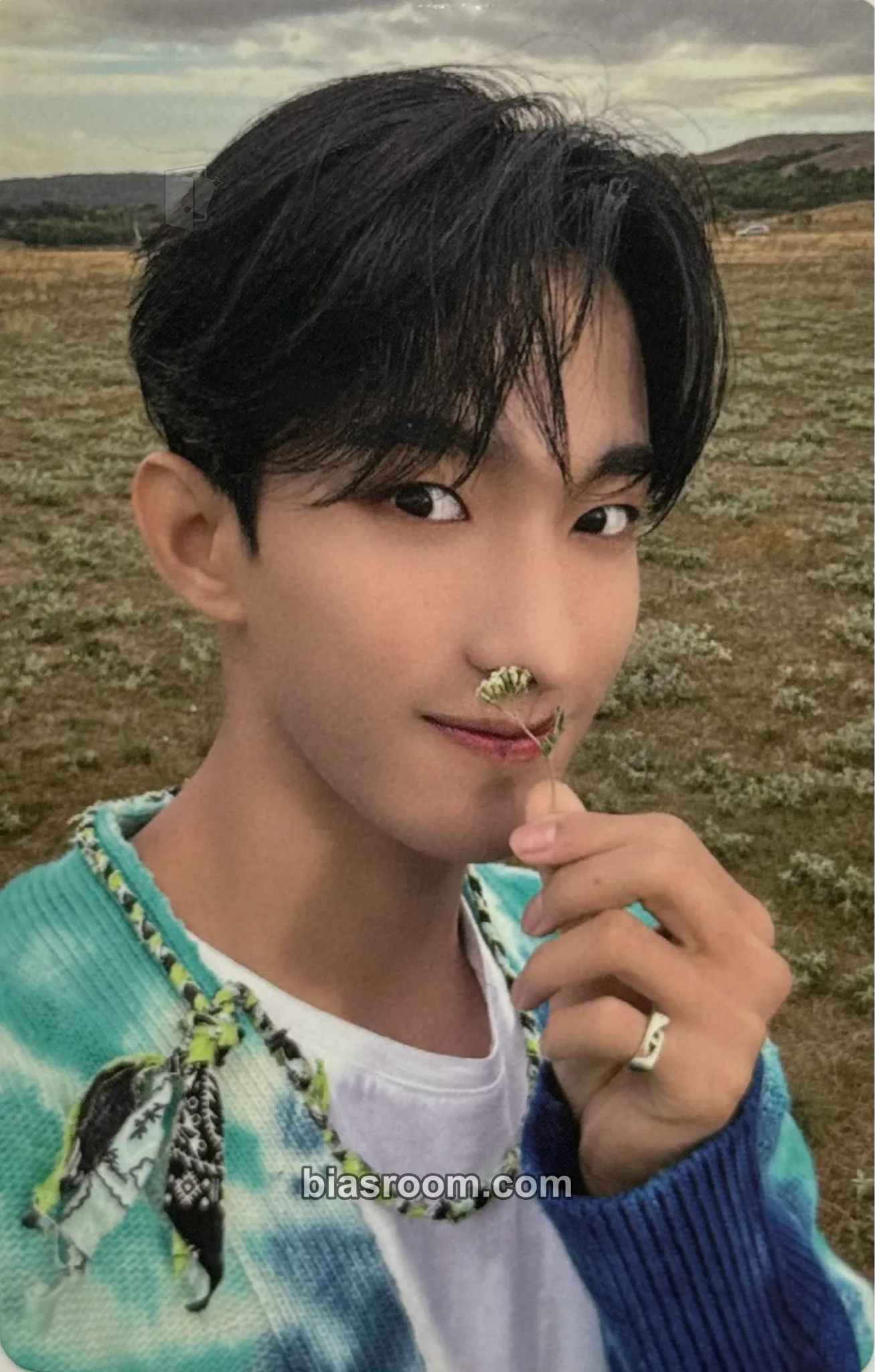 DK Seventeenth Heaven Photocard - SEVENTEEN - SEVENTEEN K-pop photocard