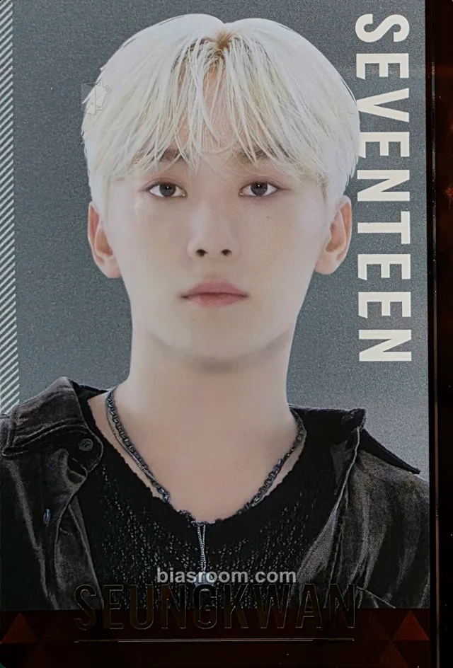 SEVENTEEN - Seungkwan - Bandai x SEVENTEEN Brand Collaboration Other twin wafer sticker holographic (hologram) brand collaboration bandai
