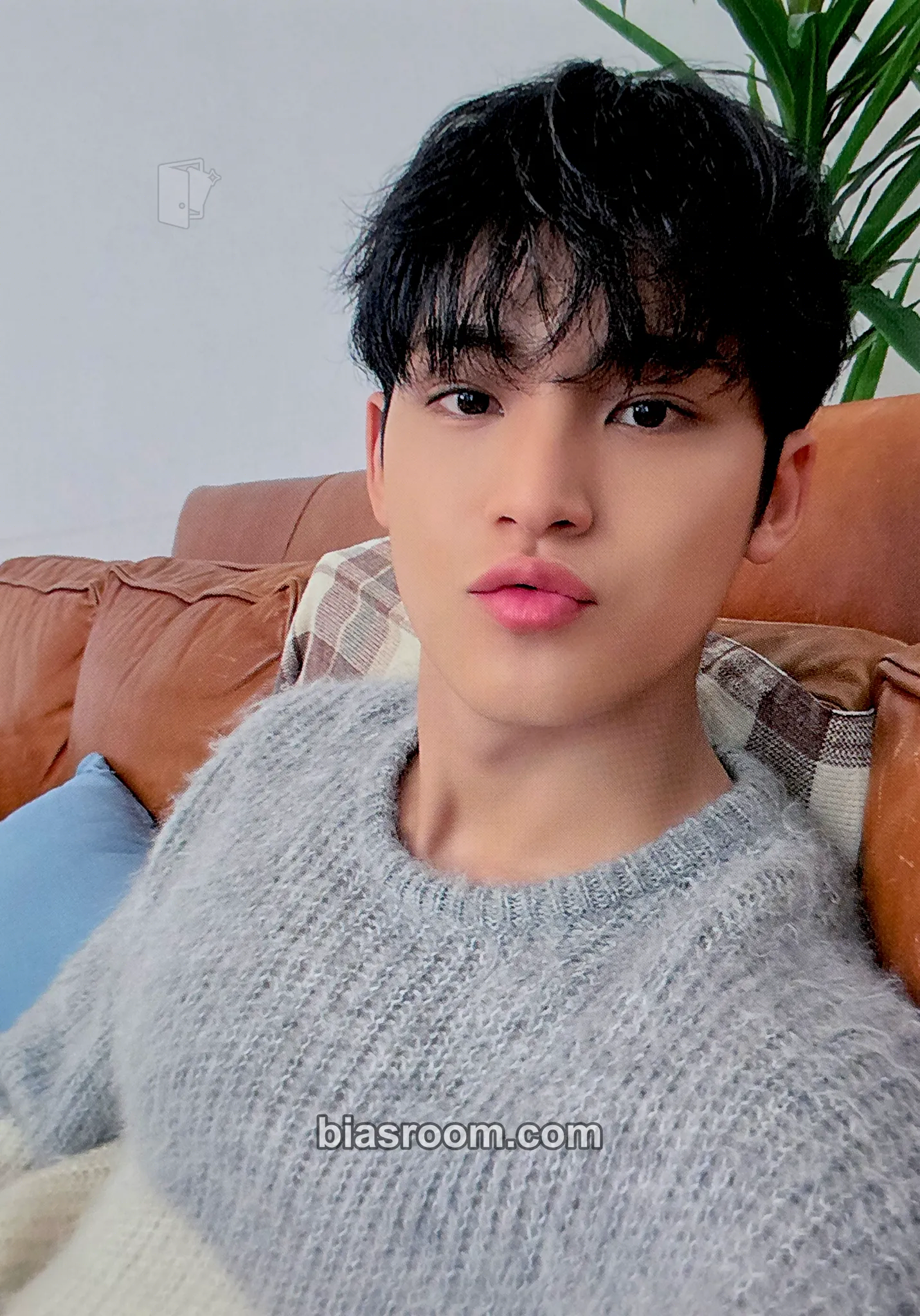Mingyu 2021 Seventeen's Home Merchandise Photocard - SEVENTEEN - SEVENTEEN K-pop photocard