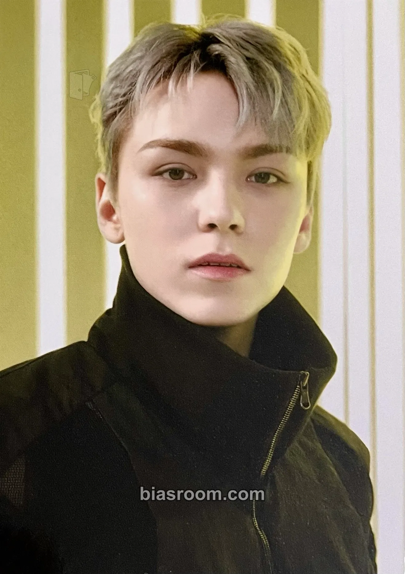 Vernon Photocards (SEVENTEEN) | Bias Room