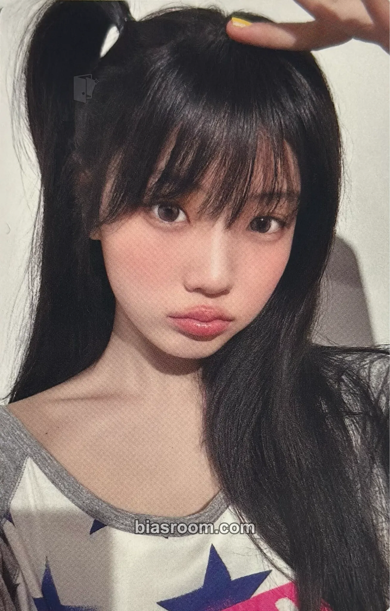 图鉴图片