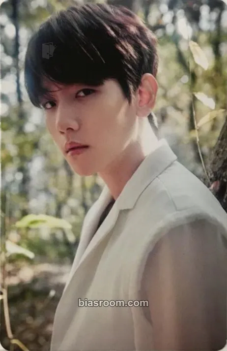 Baekhyun EXO Planet #4 - The EℓyXiOn + The Elyxion (dot) Encore Photocard - EXO - EXO K-pop photocard