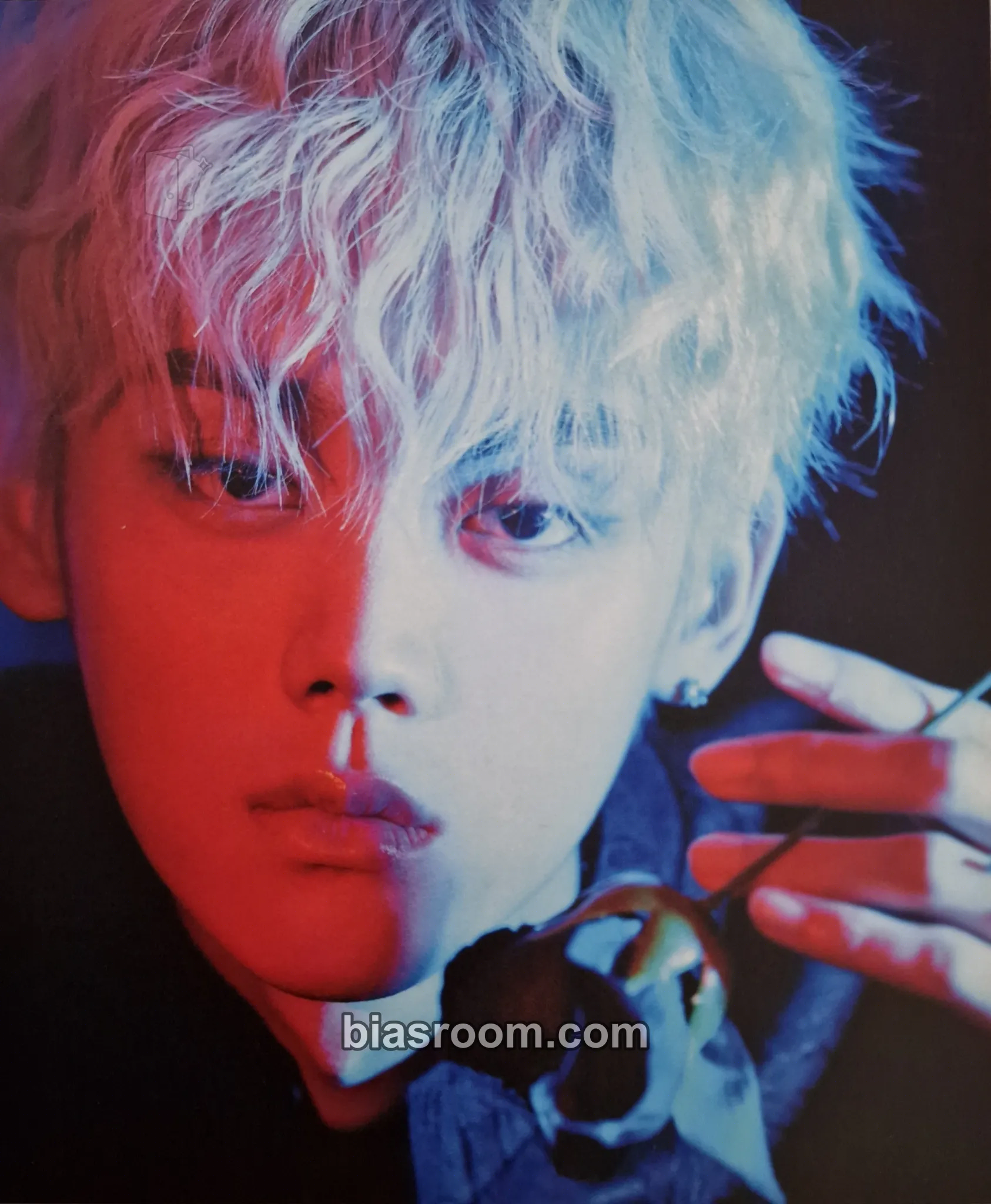 TAG 2024 Season's Greetings Photocard - ONE PACT - ONE PACT K-pop photocard
