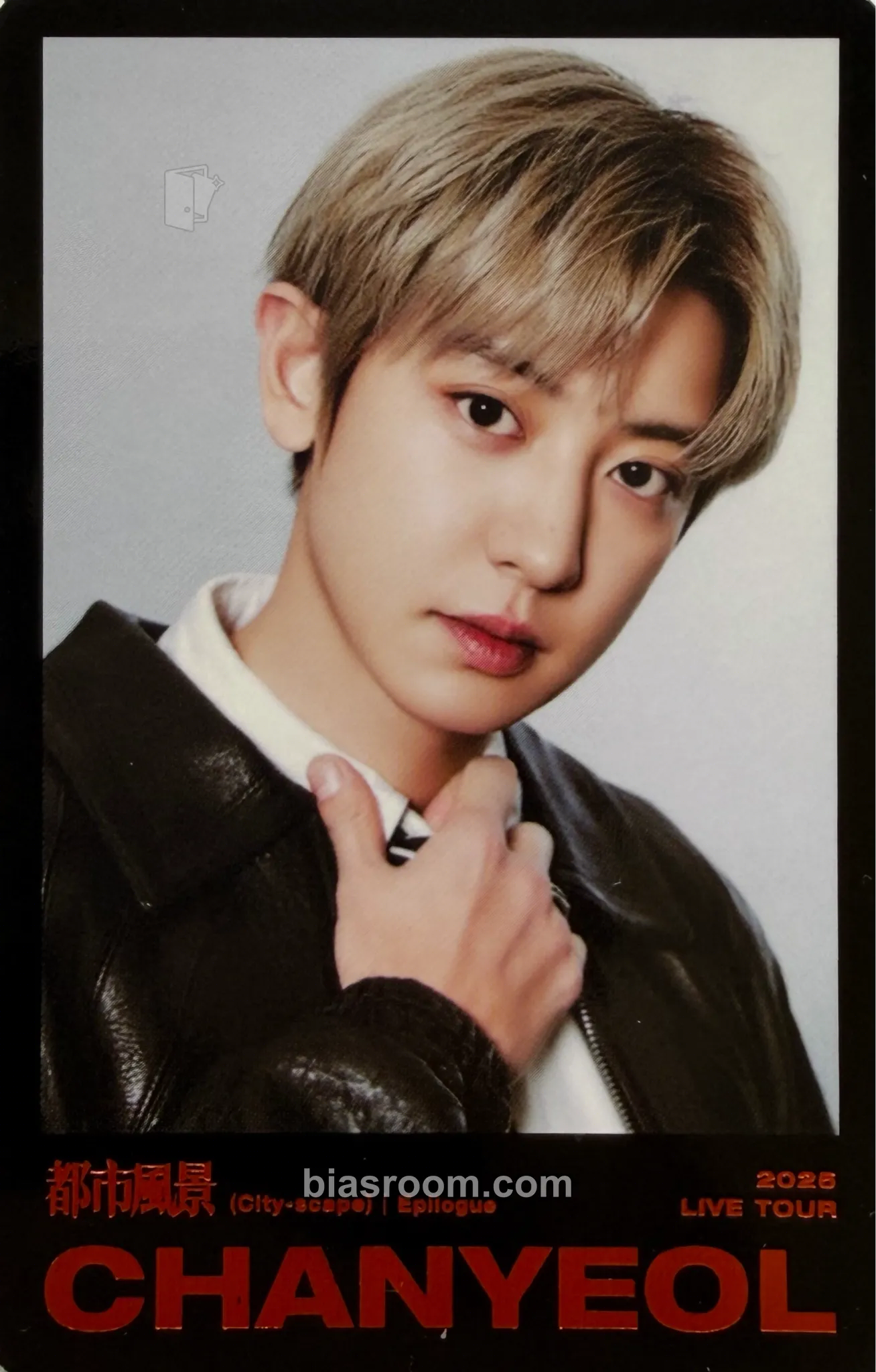 Chanyeol 2024 CHANYEOL Live Tour : 都市風景 (City-scape) + 2025