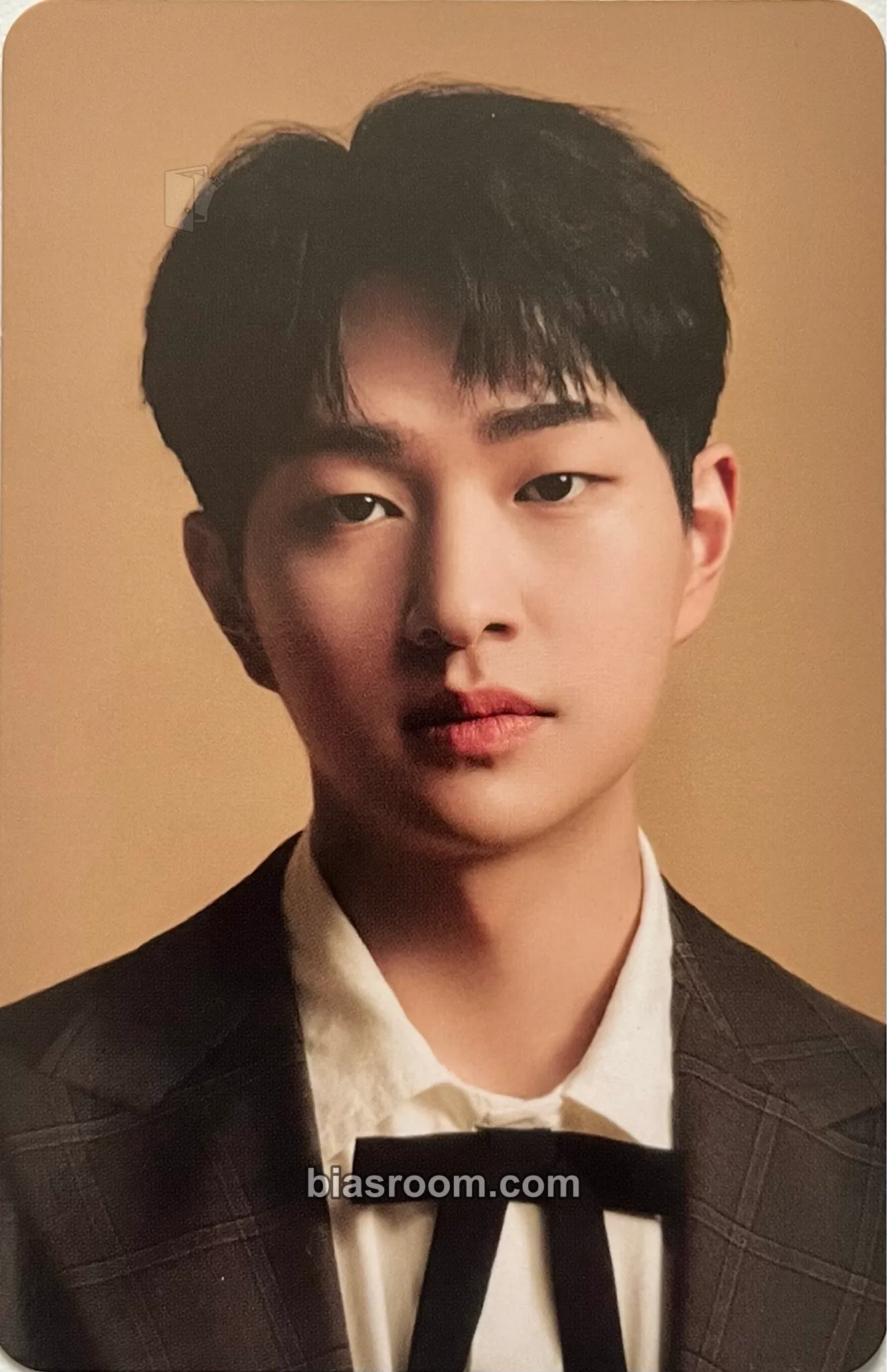 Onew SHINee 2022 Season's Greetings Photocard - SHINee - SHINee K-pop photocard