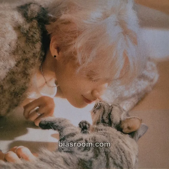 ONE PACT - Jay Chang - Neighborhood (Jay Chang Solo) Album album inclusion KiT/kihno version square photo set