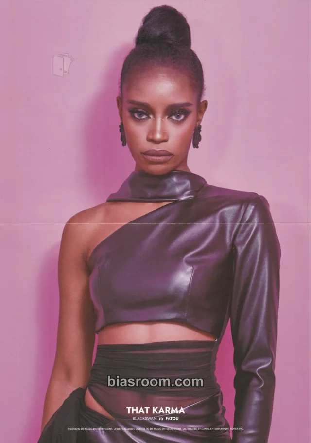 BLACKSWAN - Fatou - That Karma Album poster album inclusion