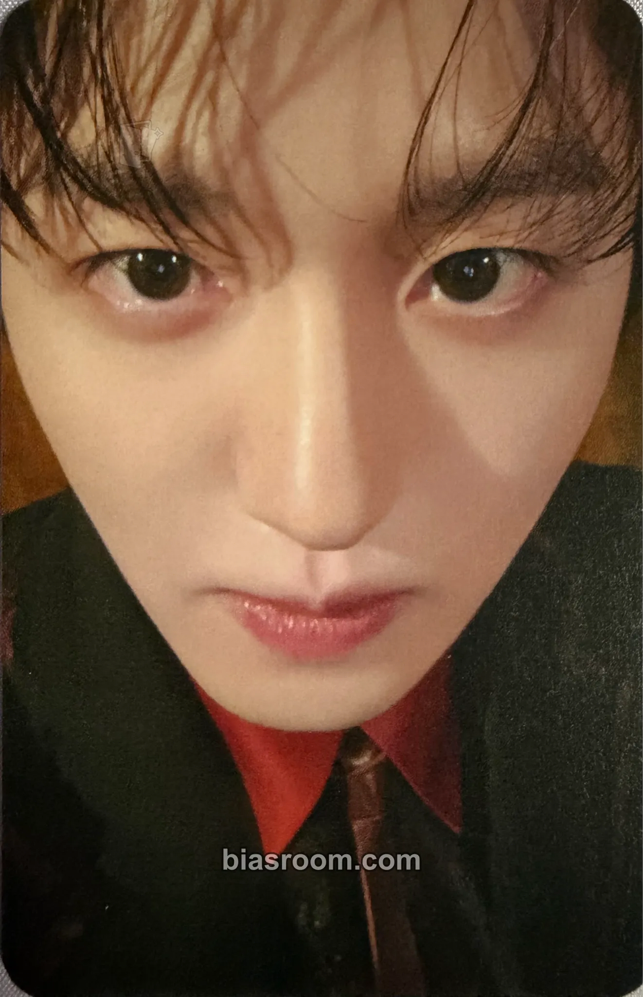 Chani 2025 SF9 LIVE FANTASY #5 LOVE DAWN Photocard - SF9 - SF9 K-pop photocard