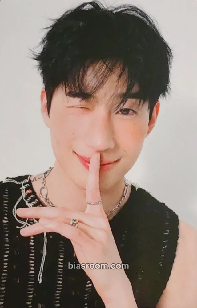 VICTON - Seungwoo - FRAME Album album photocard