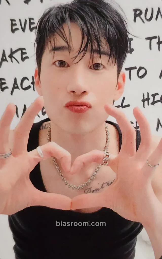 VICTON - Seungwoo - FRAME Album album photocard