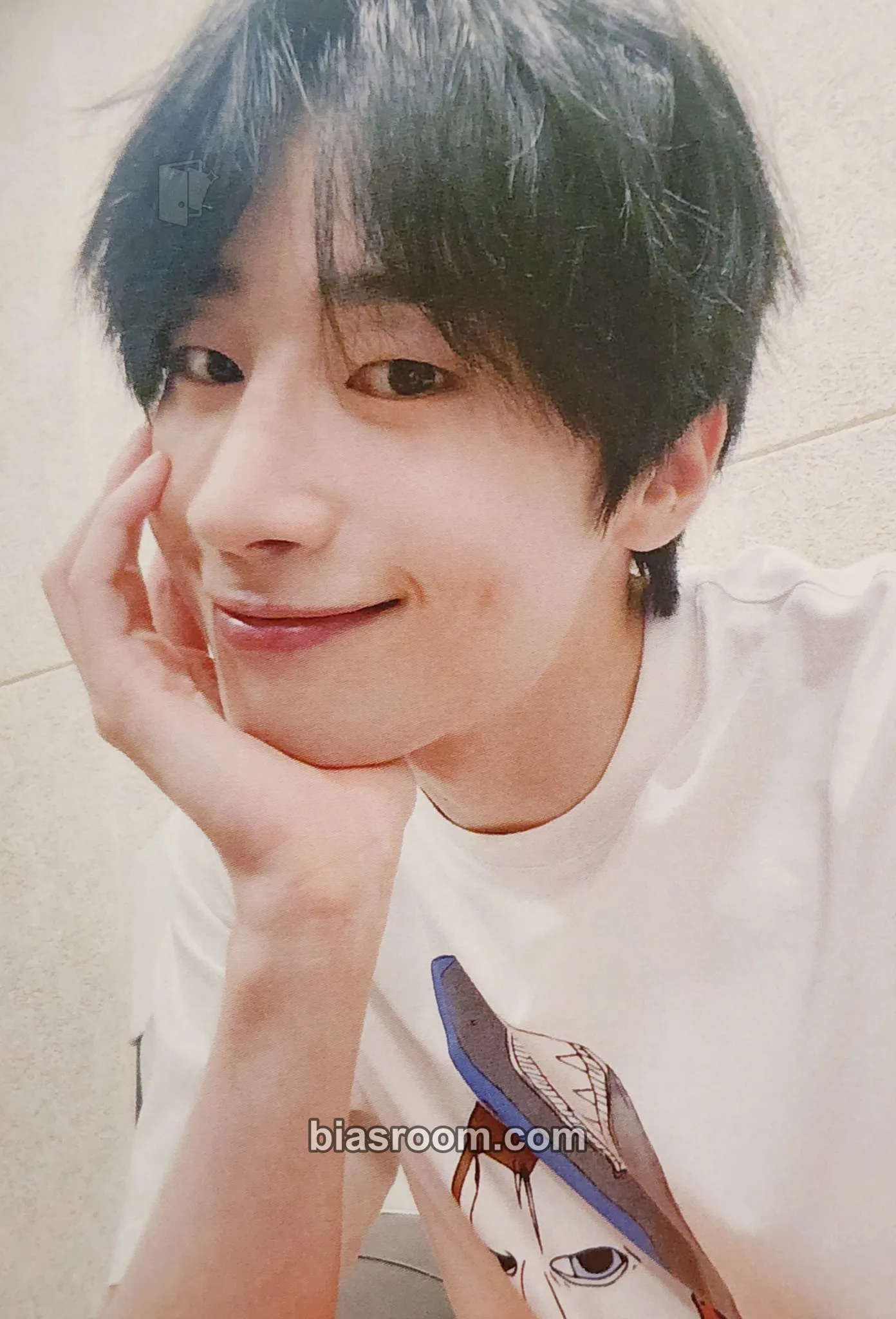 Seungwoo Fade Photocard - VICTON - VICTON K-pop photocard