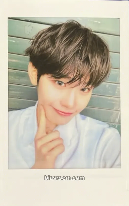 Taerae You Had Me at Hello Photocard - ZEROBASEONE - ZEROBASEONE K-pop photocard