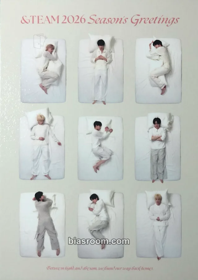 &TEAM - Other postcard season's greetings kit inclusion