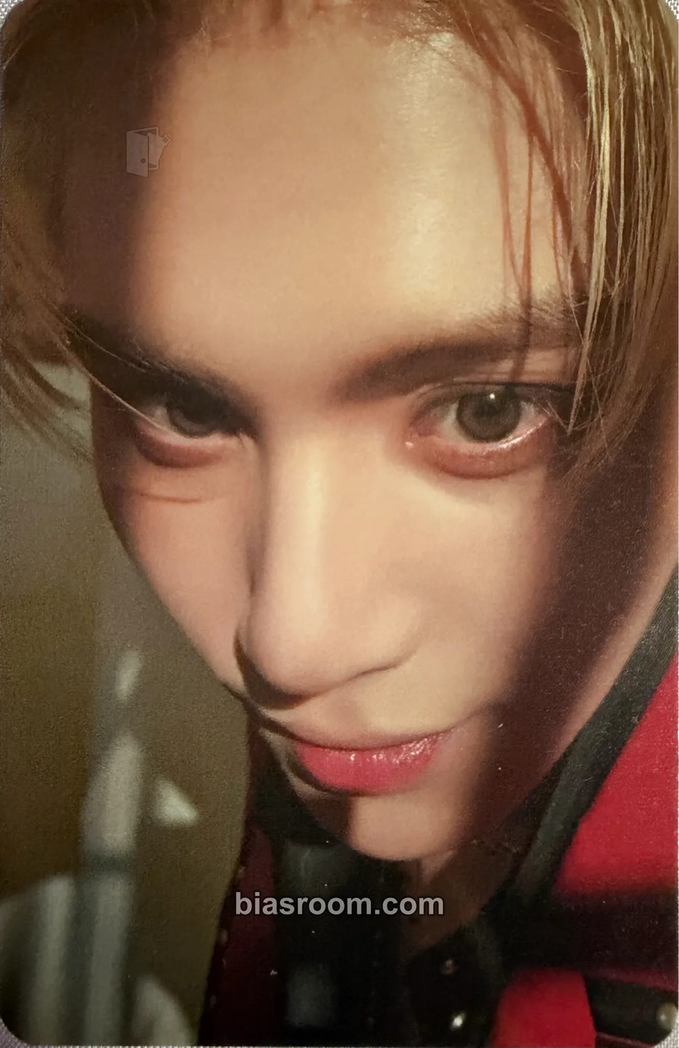 Yoo Taeyang 2025 SF9 LIVE FANTASY #5 LOVE DAWN Photocard - SF9 - SF9 K-pop photocard