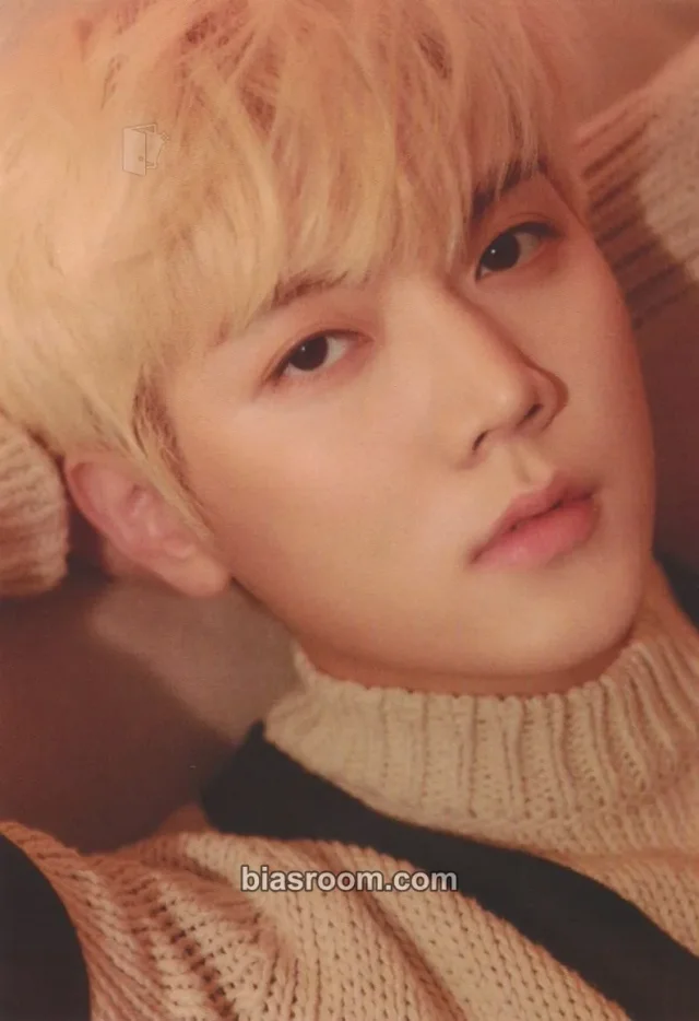 NU'EST - Ren - HYBE Insight Museum Event hybe insight mini photocard photocard set merch photocard