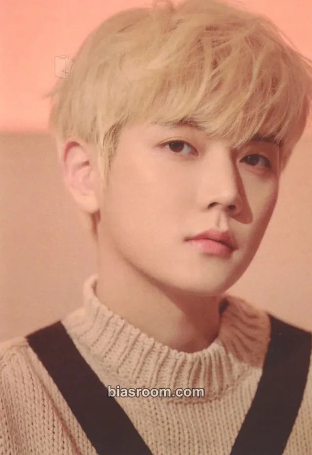 NU'EST - Ren - HYBE Insight Museum Event hybe insight mini photocard photocard set merch photocard