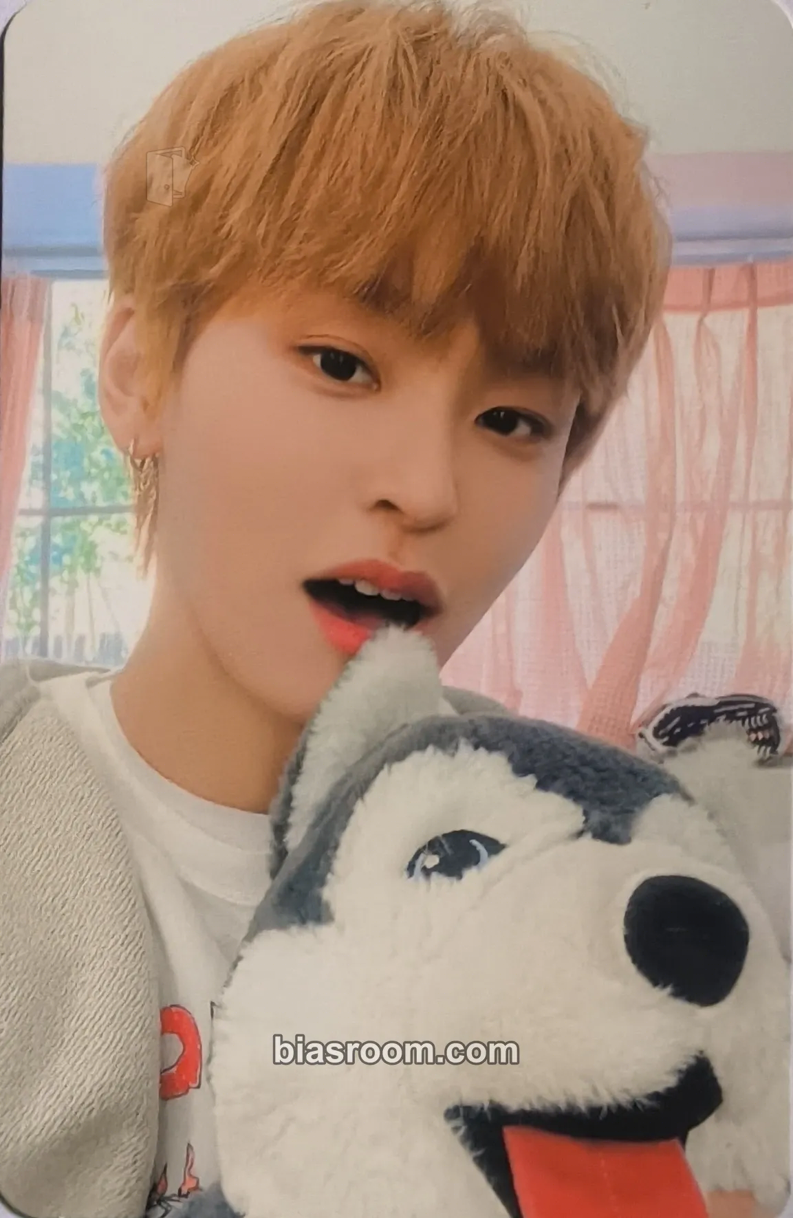 Taerae TEMCAST Behind Book VOL. 01 Photocard - Tempest - Tempest K-pop photocard