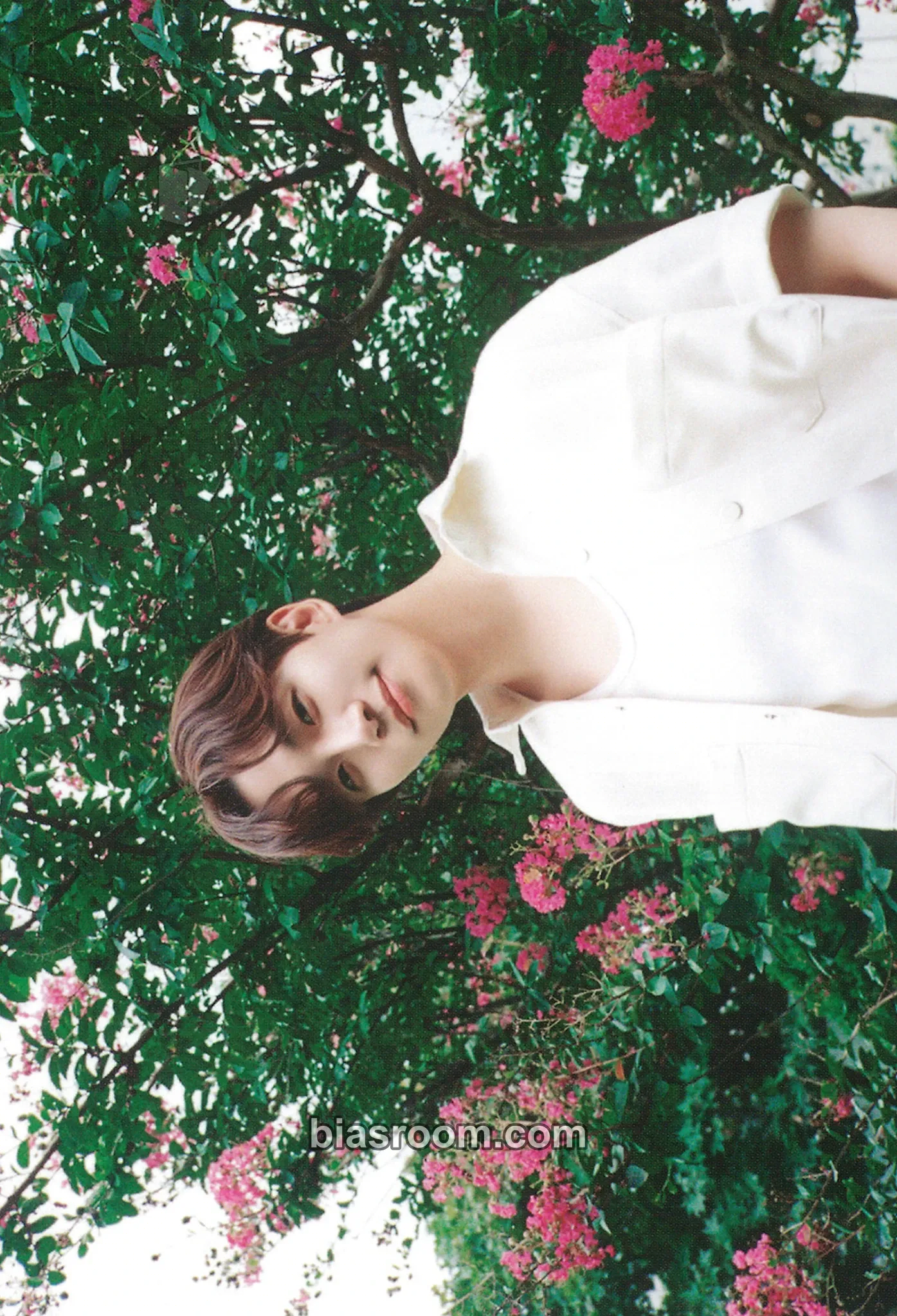 Junho Junho 2024 Season's Greetings 'Holiday with Lee Junho' Photocard - 2PM - 2PM K-pop photocard