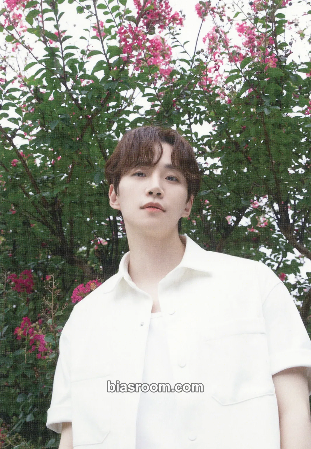 Junho Junho 2024 Season's Greetings 'Holiday with Lee Junho' Photocard - 2PM - 2PM K-pop photocard