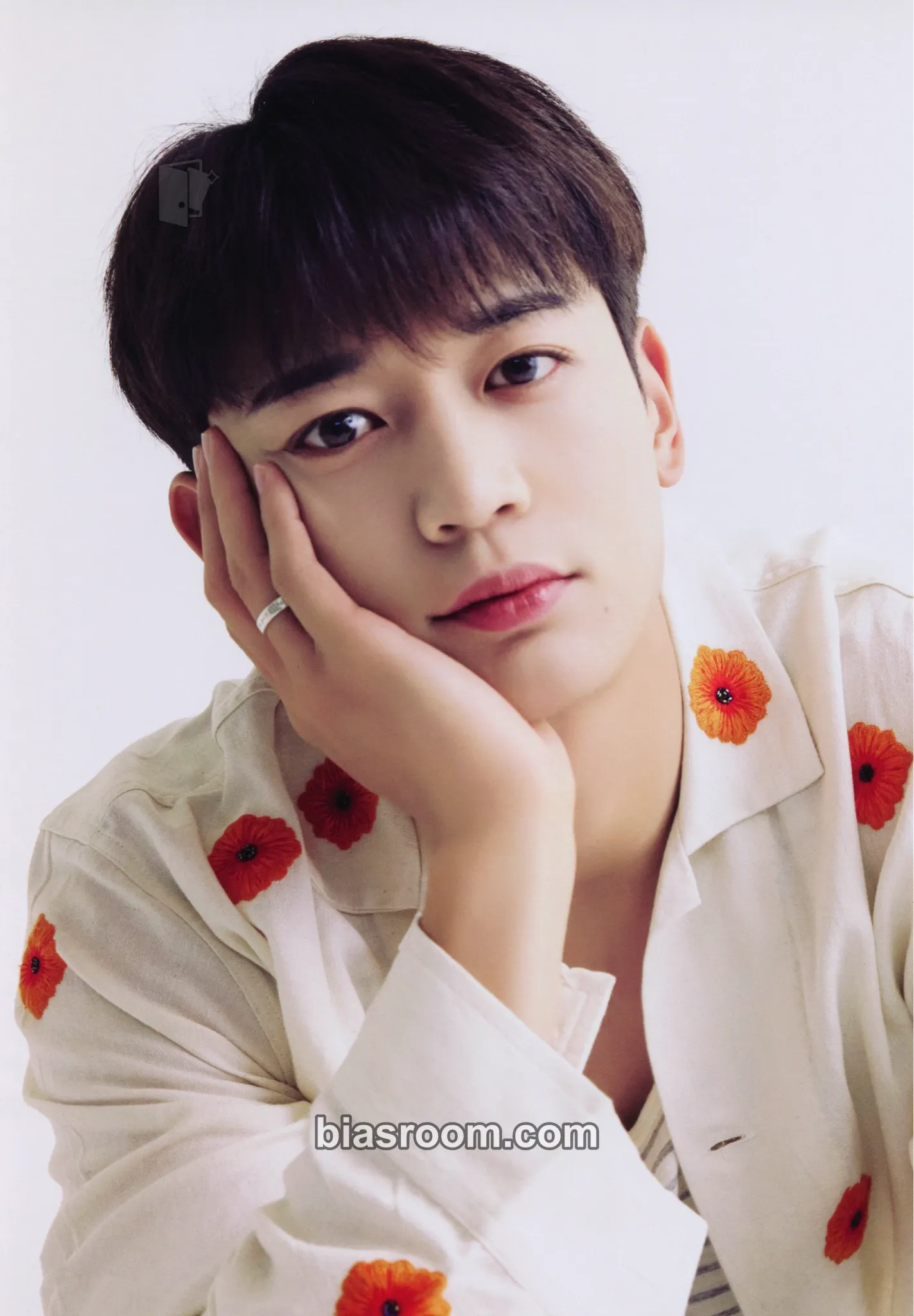 Minho SHINee 2024 Season's Greetings Photocard - SHINee - SHINee K-pop photocard