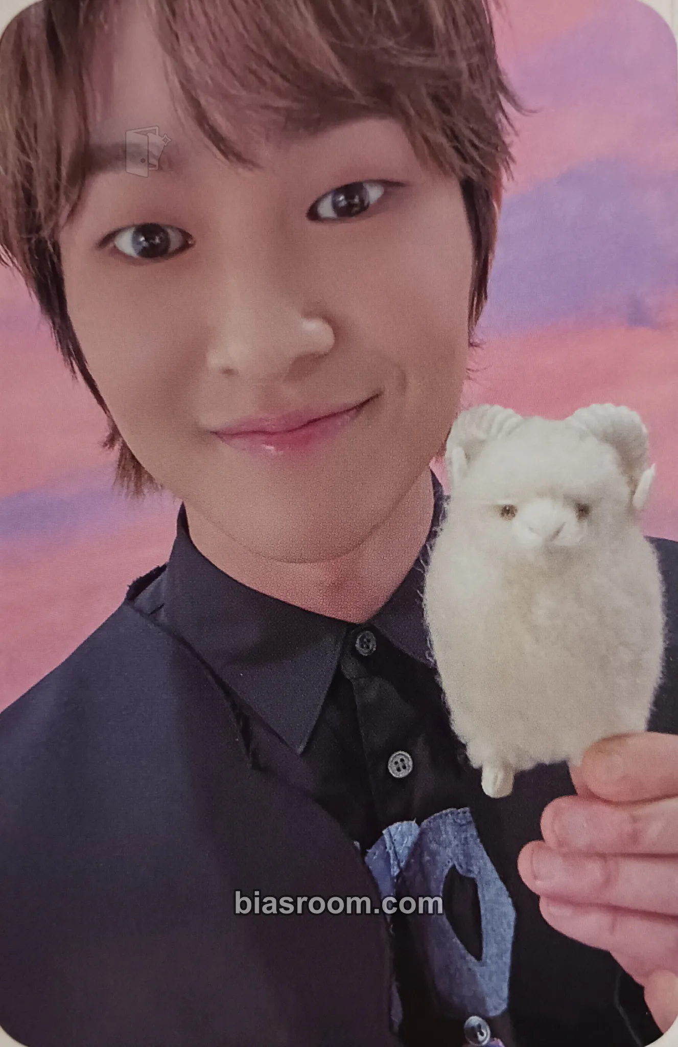 Onew Onew 4th EP CONNECTION Pop-up Cafe Photocard - SHINee - SHINee K-pop photocard