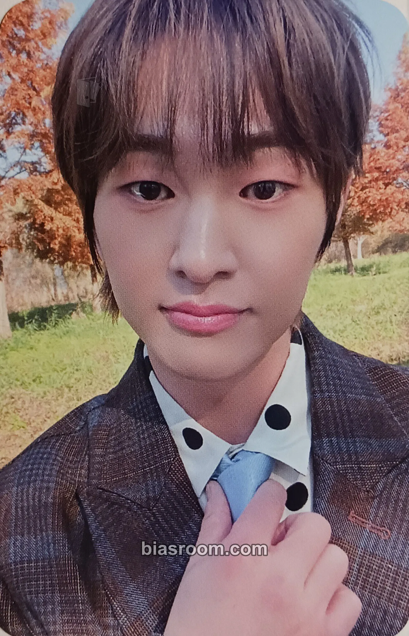 Onew Onew 4th EP CONNECTION Pop-up Cafe Photocard - SHINee - SHINee K-pop photocard