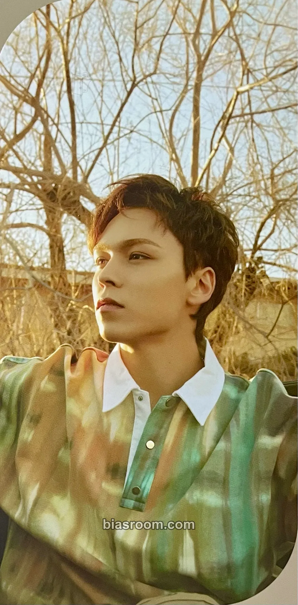 Vernon Heng:garæ Photocard - SEVENTEEN - SEVENTEEN K-pop photocard