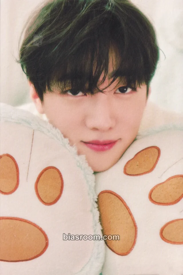 DKZ - Jaechan - 2024 JAECHAN's BIRTHDAY [EVE PARTY] Event merch inclusion postcard postcard book everline