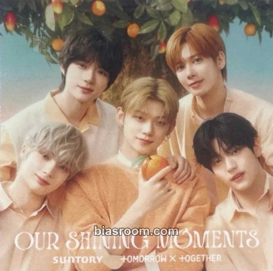 Suntory Photocard - TOMORROW X TOGETHER - TOMORROW X TOGETHER K-pop photocard