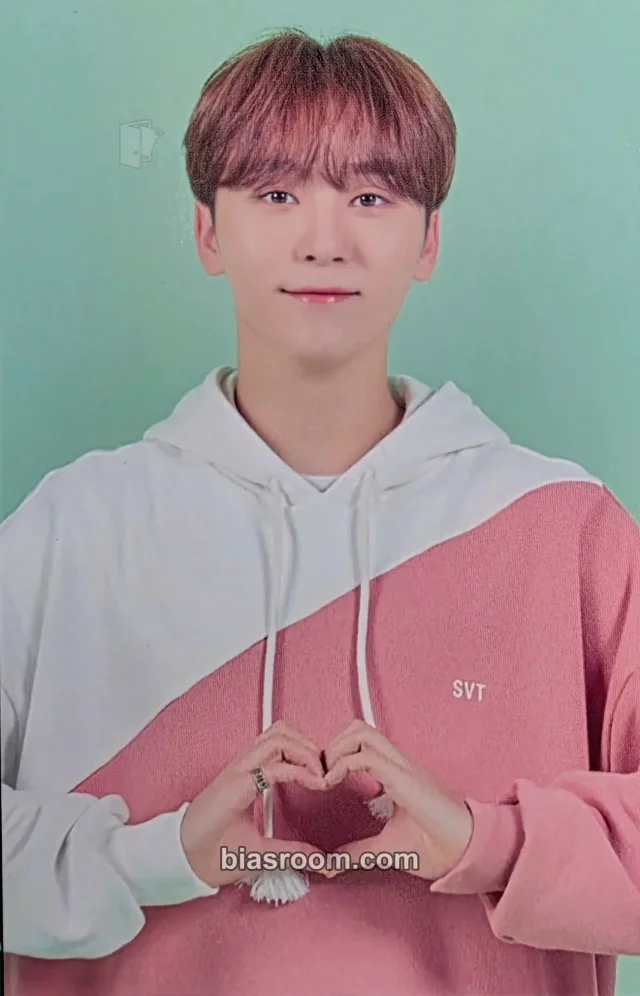 SEVENTEEN - Seungkwan - 2019 3RD SVT IN CARAT LAND Event fan meeting merch photocard trading card keyring mini picket