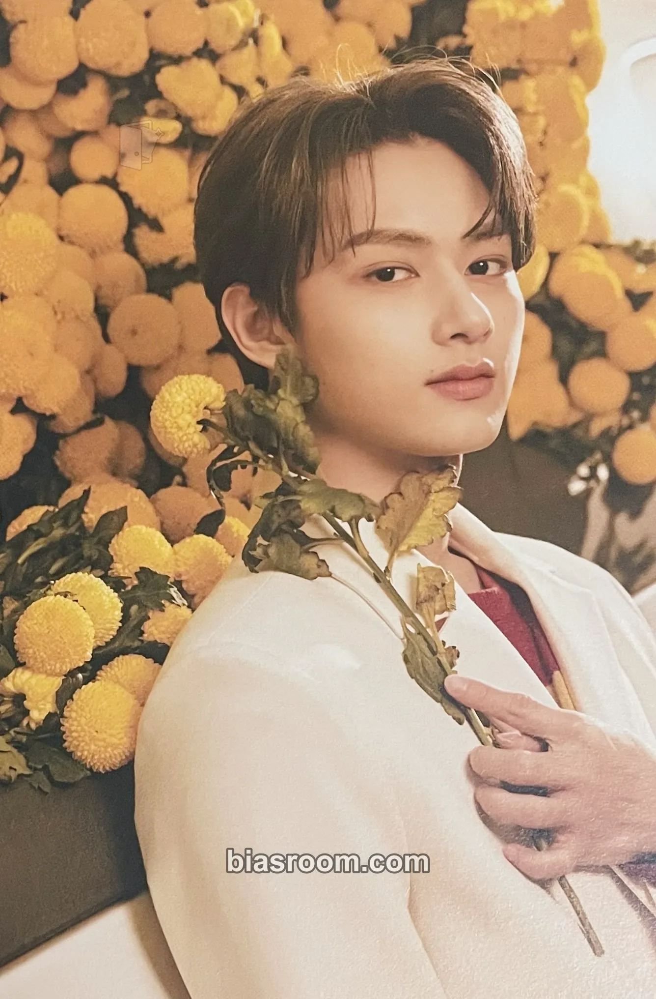 Jun Your Choice Photocard - SEVENTEEN - SEVENTEEN K-pop photocard