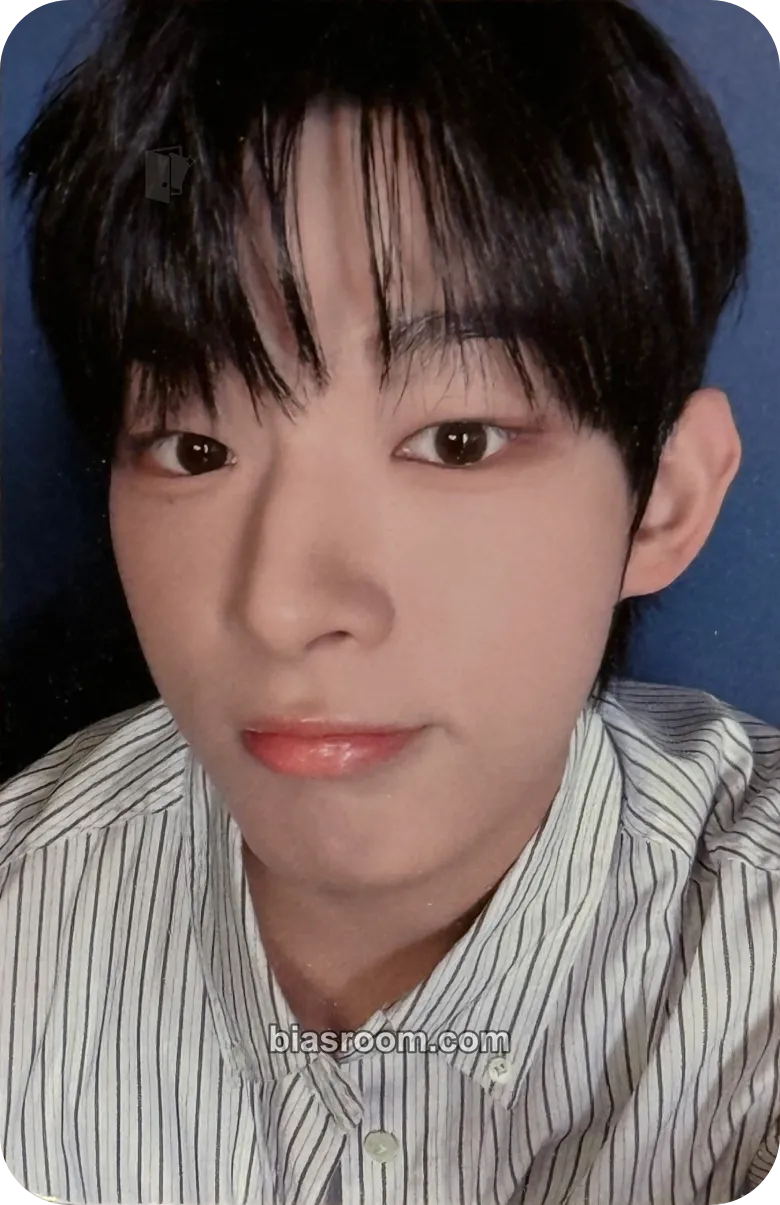 Steven AHOF 1ST TOUR: THE FIRST SPARK Photocard - AHOF - AHOF K-pop photocard