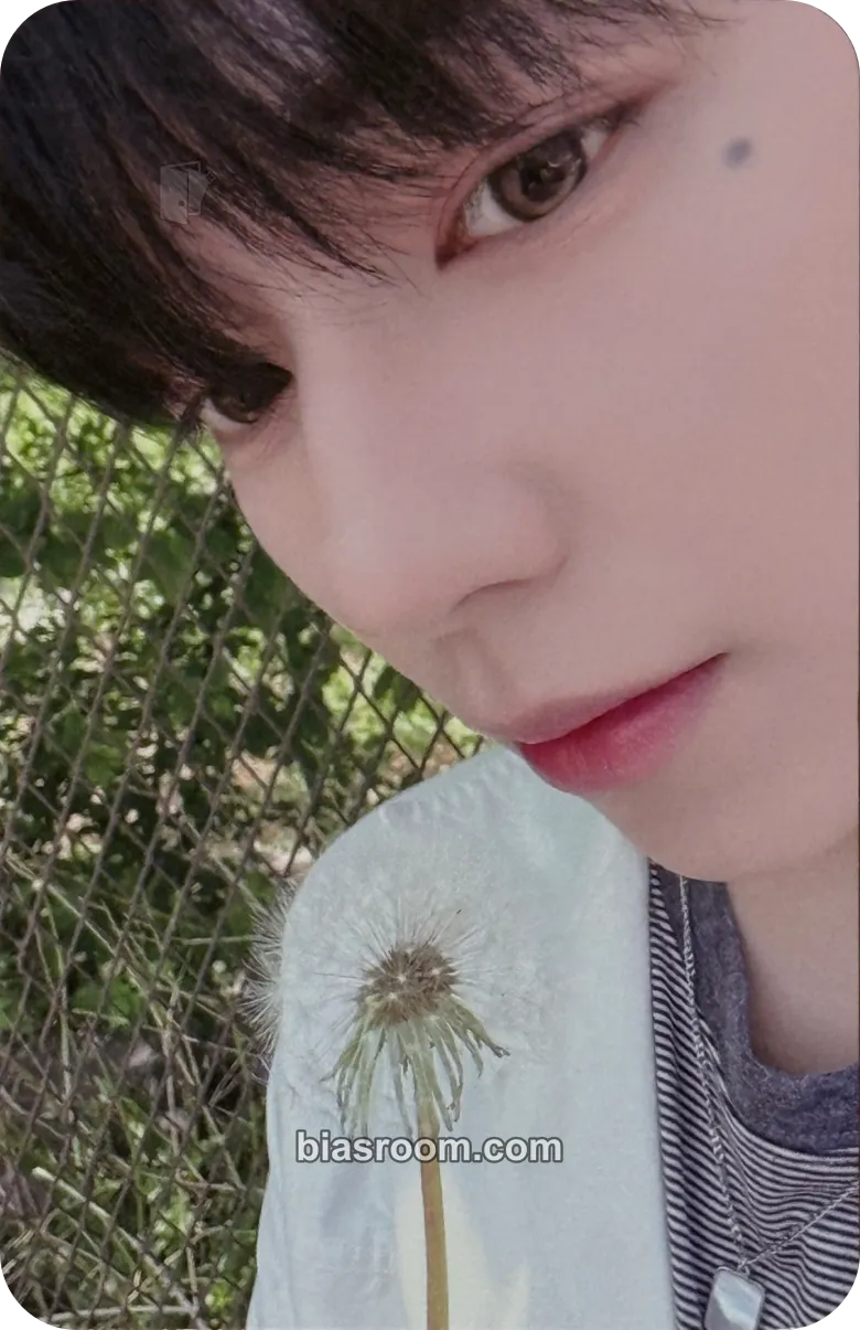JL AHOF 1ST TOUR: THE FIRST SPARK Photocard - AHOF - AHOF K-pop photocard