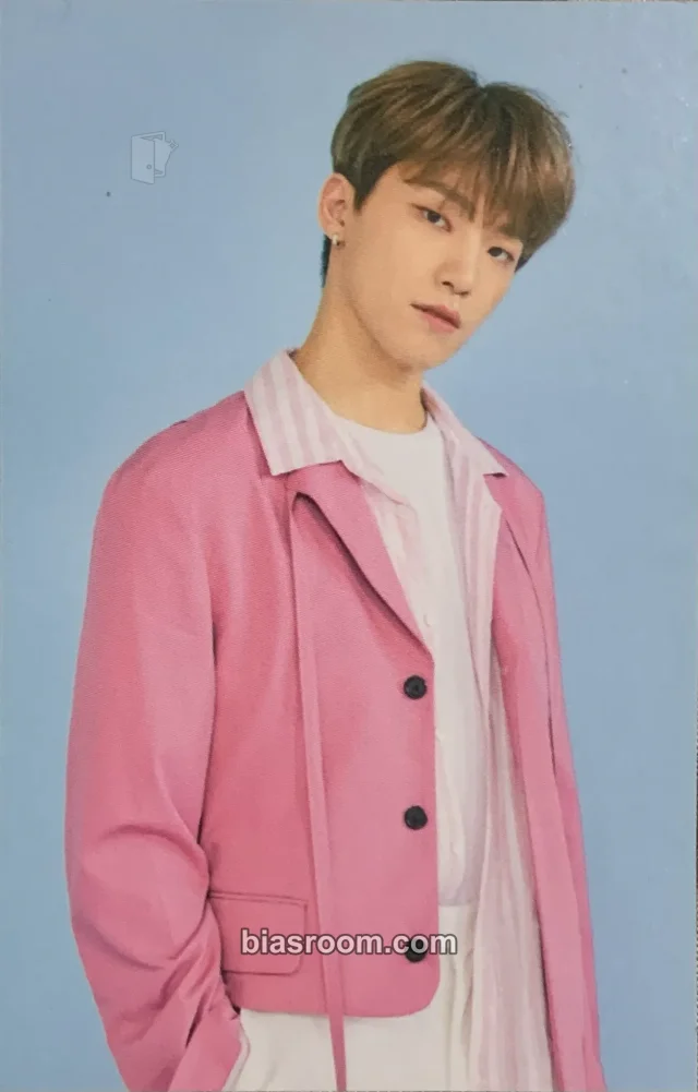 SEVENTEEN - Dino - 2019 3RD SVT IN CARAT LAND Event trading card merch photocard fan meeting