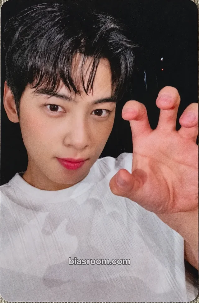 ASTRO - Cha Eun-woo - Else (Cha Eun-woo Solo) Album apple music offline cafe event