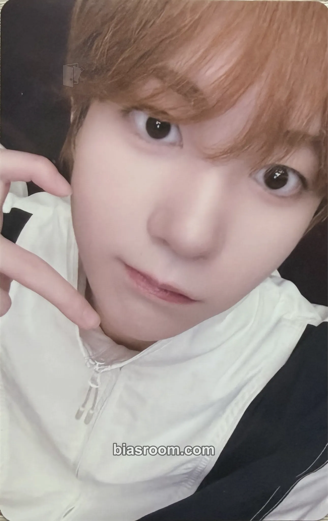 Ryo poppop Photocard - NCT WISH - NCT WISH K-pop photocard