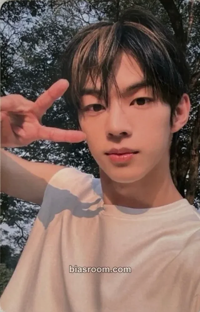 Dohoon Photocards (TWS) | Bias Room