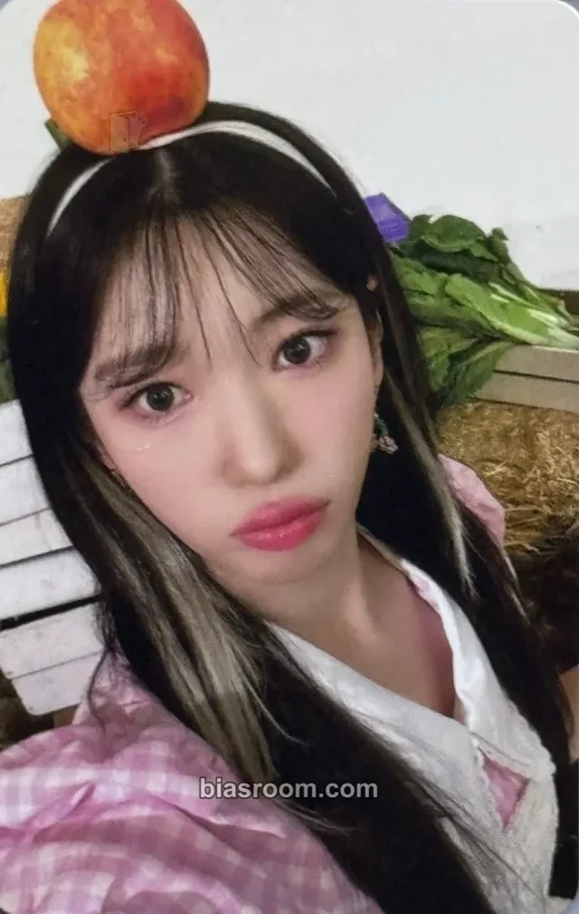 Rocket Punch - Suyun - Season's Greetings 2024 Other season's greetings woollim mall purchase benefit