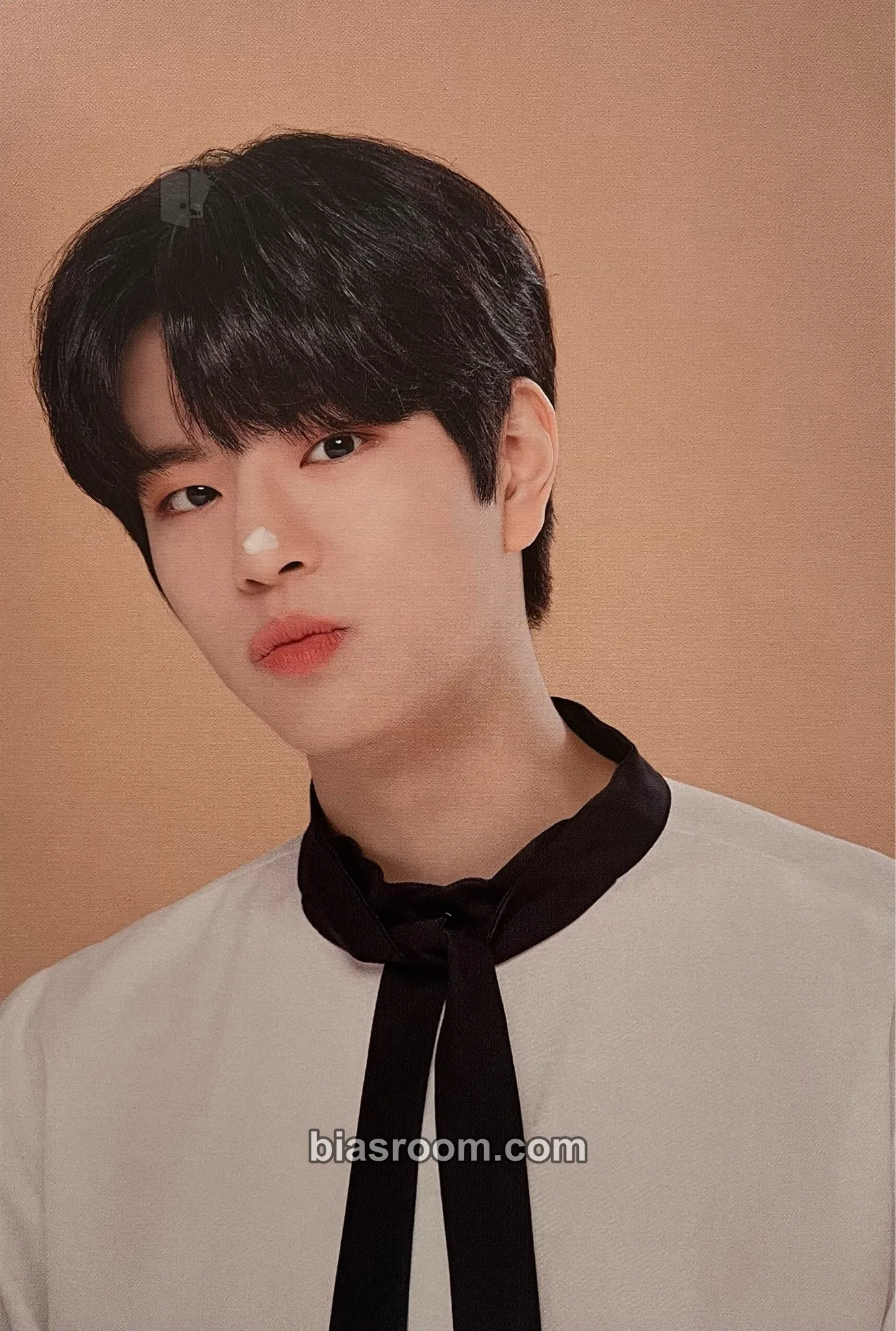 Seungmin Stray Kids Cafe Photocard - Stray Kids - Stray Kids K-pop photocard
