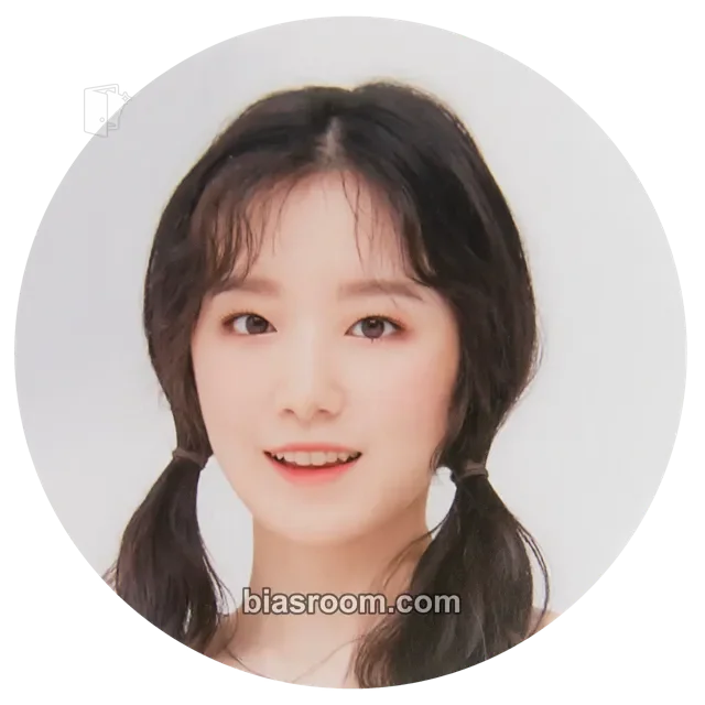 i-dle - Shuhua - 1st Neverland Membership Other fanclub/membership garland