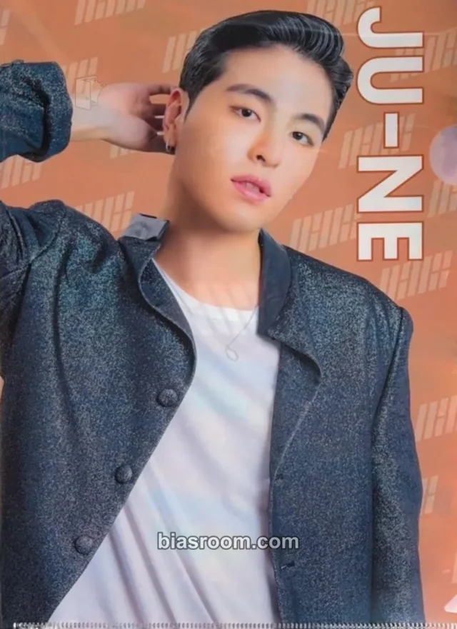 iKON - Ju-ne - Fan Meeting Japan 2019 Event clear file/l-holder transparent/translucent merch inclusion
